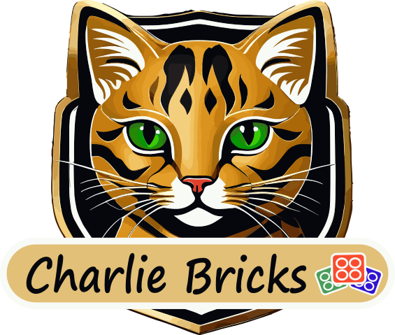 Charlie Bricks