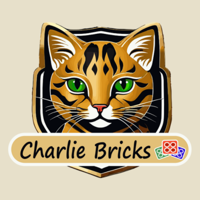 Charlie Bricks
