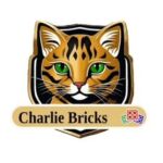 Charlie Bricks